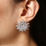 Aurora  Flare Earring