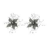 The Imperial Star Earring