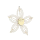 Star Earring