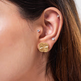 Gold V Leef Stud Earrings
