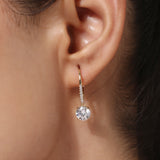 Silver Plated White CZ Stone Hanging Earrings