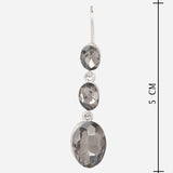 Champagne Cubic Zirconia Drop Earrings